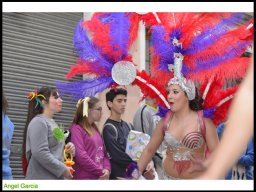 Carnaval de Mula 2014